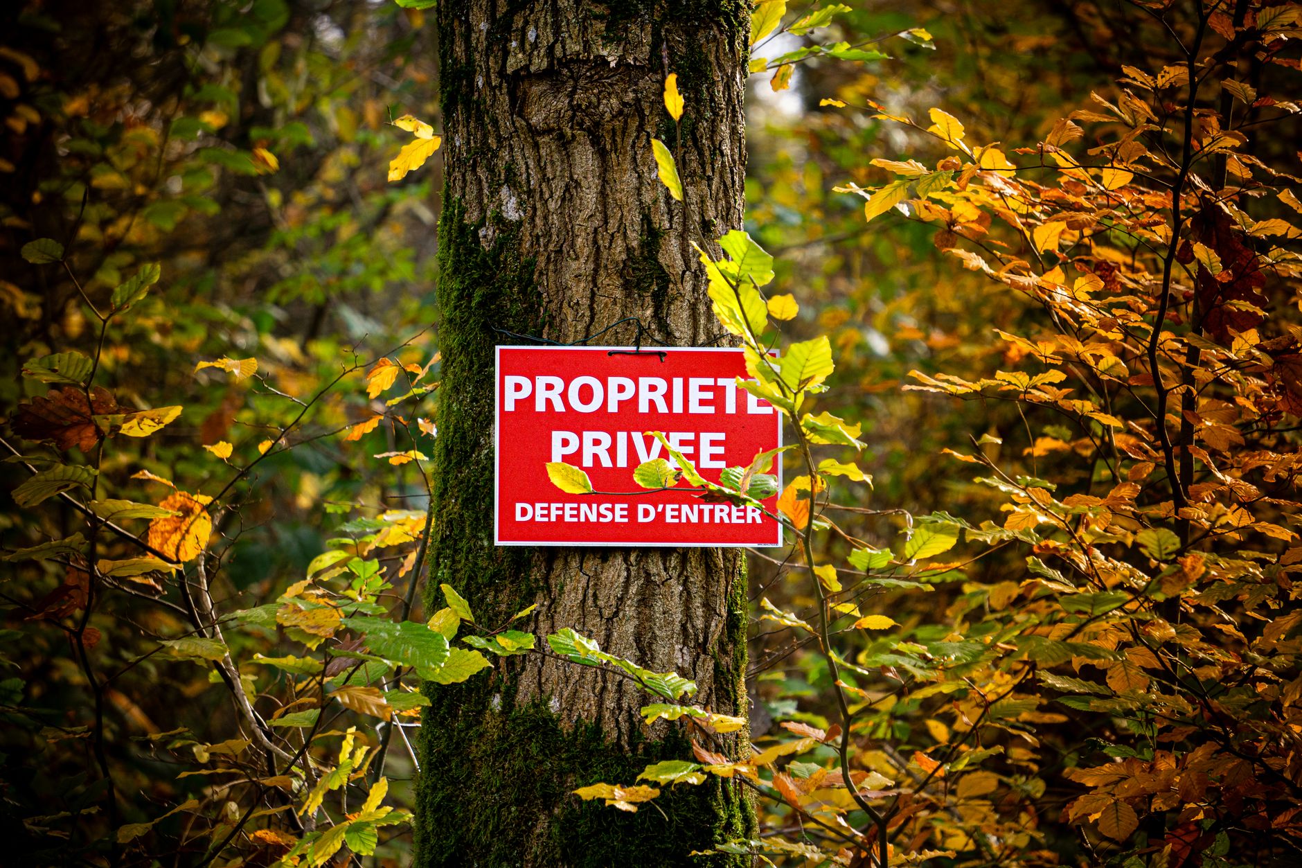 Détective privé à Mulhouse